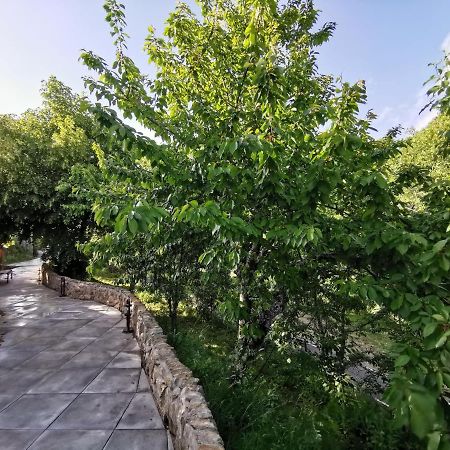 Villa Marel Trefacio Dış mekan fotoğraf