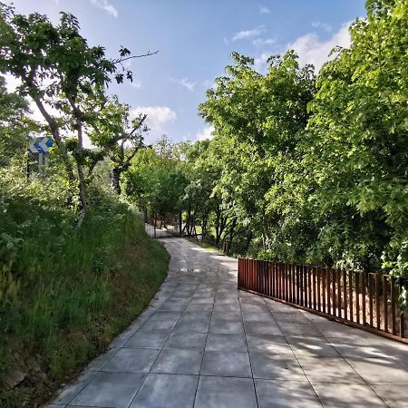 Villa Marel Trefacio Dış mekan fotoğraf
