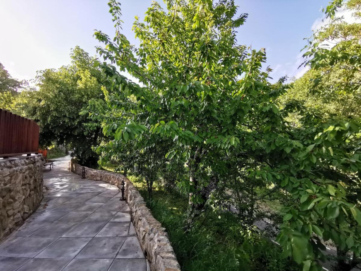 Villa Marel Trefacio Dış mekan fotoğraf